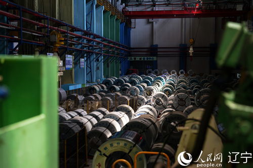 全面振兴 东北向 新